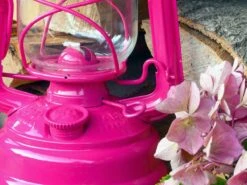 Feuerhand Baby Special 276 Telemagenta Stormlamp -Buiten Kamperen feuerhand stormlamp magenta 4 ecommerce bd07