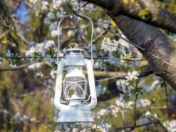 Feuerhand Baby Special 276 Pure White Stormlamp 8 Feuerhand Baby Special 276 Pure White Stormlamp -Buiten Kamperen feuerhand stormlamp wit 3 ecommerce 5631